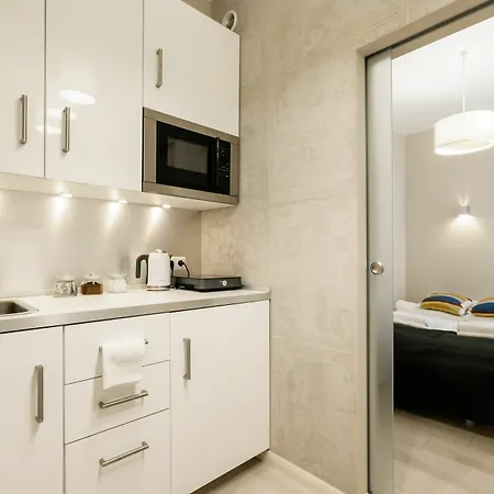 Apartment Dream Loft Krucza *